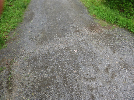Compacted gravel with a dip across the path - there are several on the trails Compacted gravel with a dip across the path - there are several on the trails